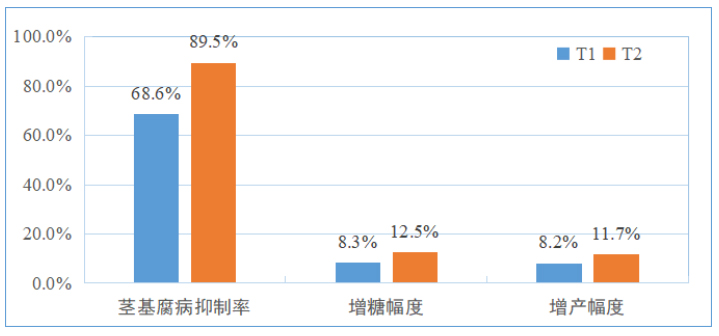 濰坊昌樂(lè)某西瓜大棚