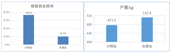 山東濟南商河縣某種植戶